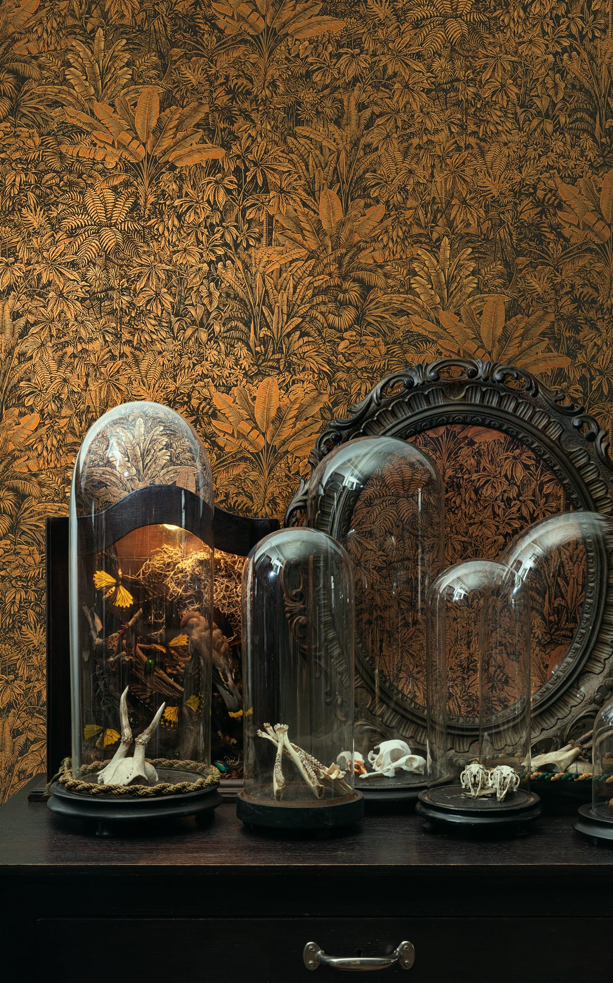 Tapet decorativ Khroma colecția Cabinet of Curiosities cod CAB803
