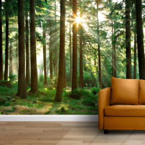Fototapet personalizat fara imbinari Beautiful Day In The Forest pentru living si dormitor Mardom Decor – Zen Interior