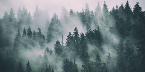 Fototapet personalizat fara imbinari Mountain Mist pentru living si dormitor Mardom Decor – Zen Interior