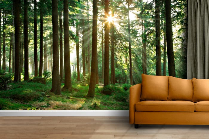 Fototapet personalizat fara imbinari Beautiful Day In The Forest pentru living si dormitor