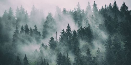 Detaliu model Mountain Mist pentru fototapet personalizat